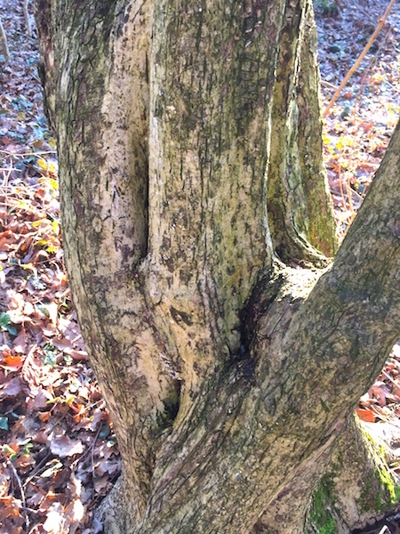 2018-02-04 15.46.22.jpg
