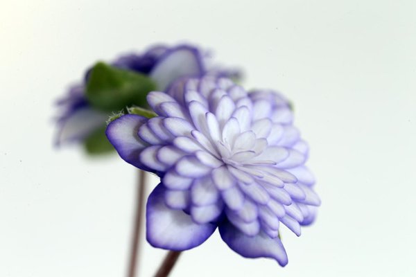 A76V0092.jpg