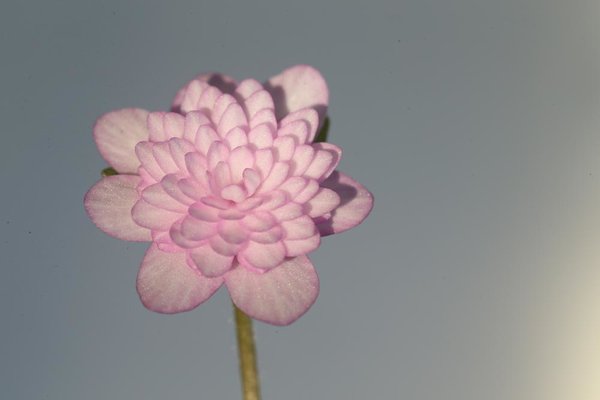 A76V0112.jpg