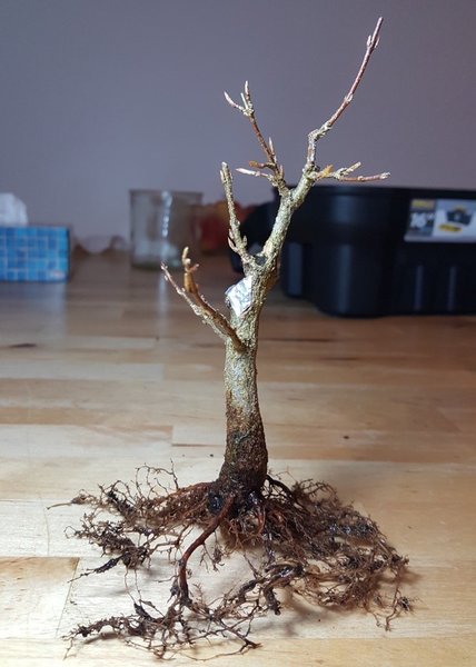 20180304_223552.jpg