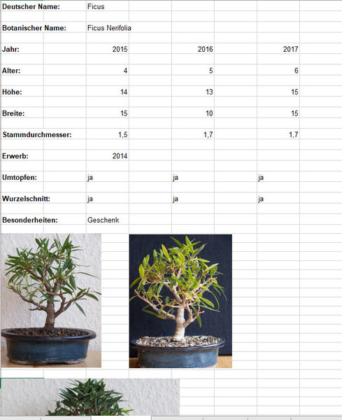 Excel2.jpg