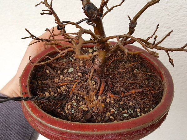 20180310_163610.jpg