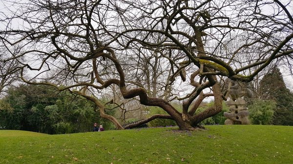 20180311_152308.jpg