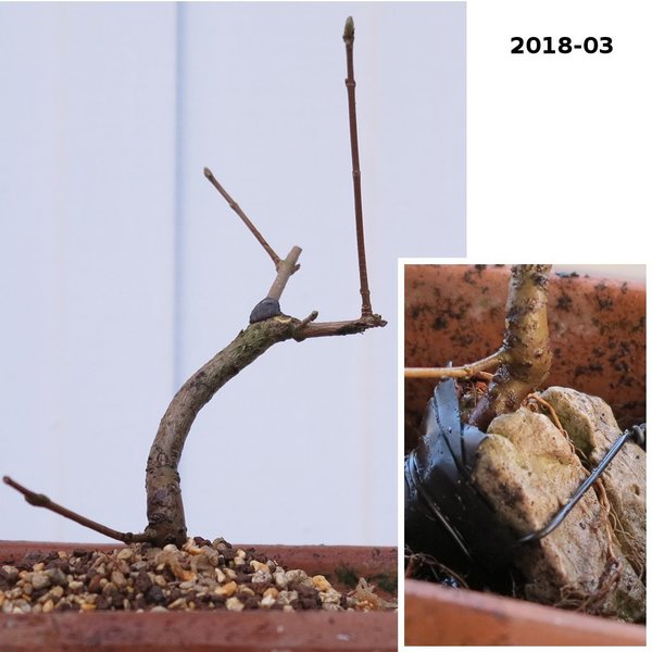 2018/03