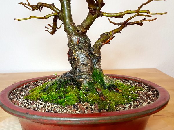 20180312_102459.jpg