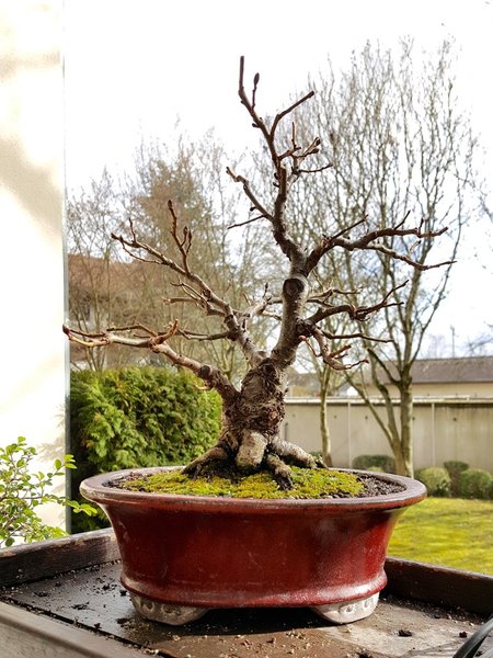20180312_151016.jpg