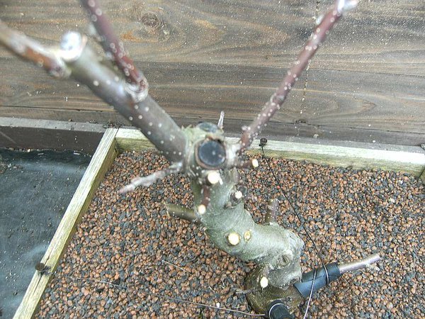 alte Schnitstellen