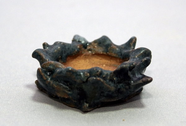 5,5 x 2 cm