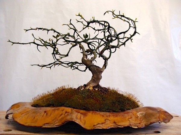 file-2.jpg