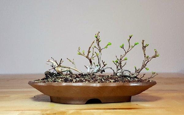 20180319_094920.jpg