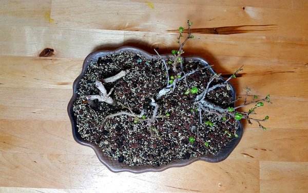 20180319_095003.jpg