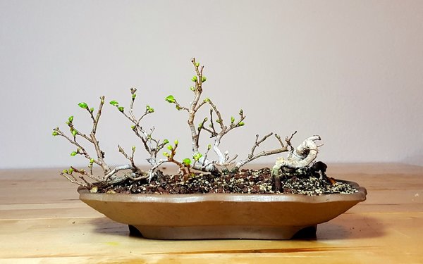 20180319_095045.jpg