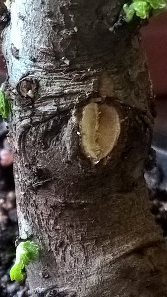 WP_20180318_16_19_16_Pro - Kopie.jpg