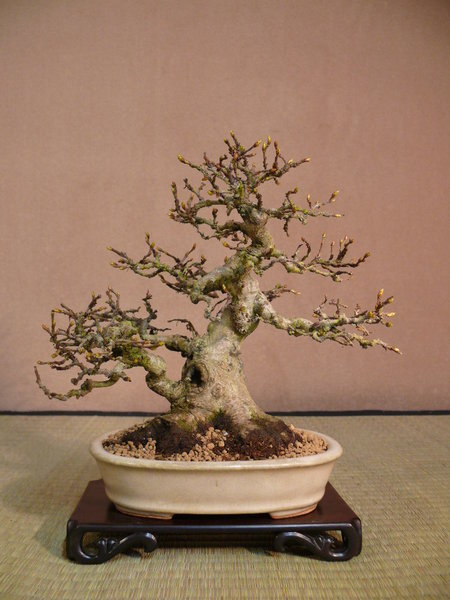P1220106k.JPG