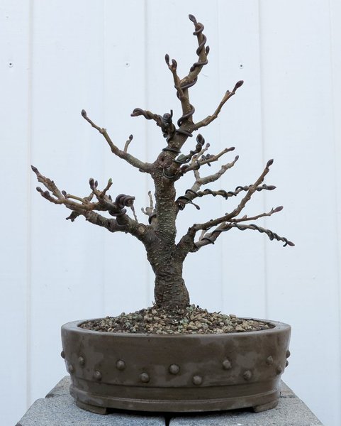 2018-03-20_.jpg
