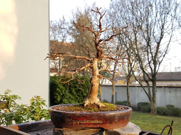 20180325_185319.jpg