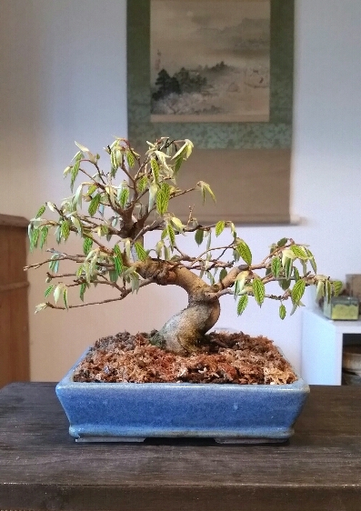 2018-03-27 08.57.46.jpg
