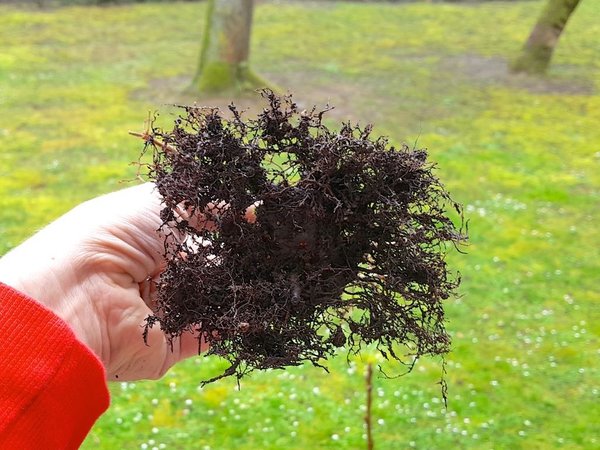 20180328_172154.jpg