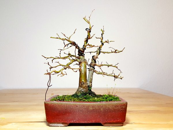 20180328_193902.jpg