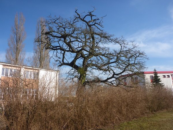 karfreitag 006b....jpg