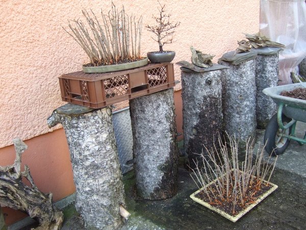 DSCF5791.JPG
