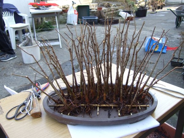 DSCF5800.JPG