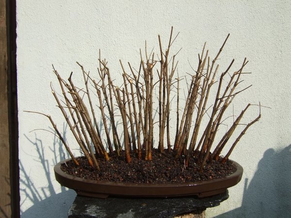 DSCF5802.JPG