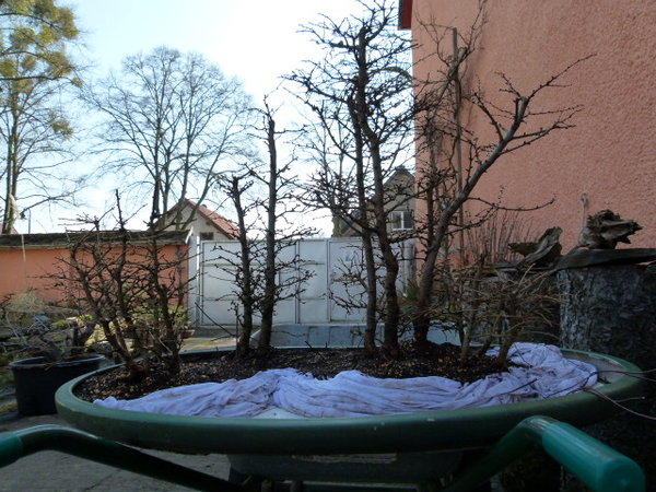 P1060709.JPG