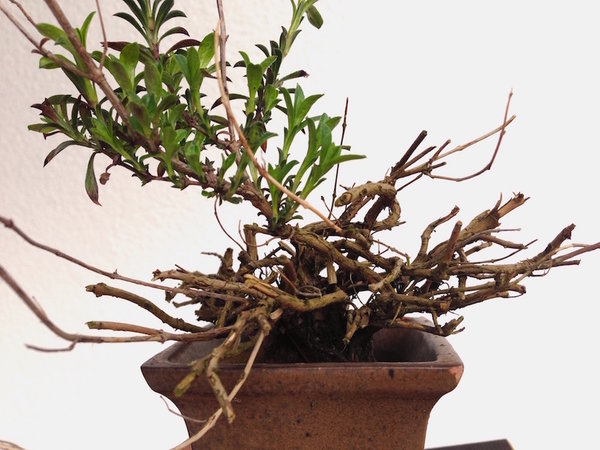 2015-04-23 -BK3.jpg
