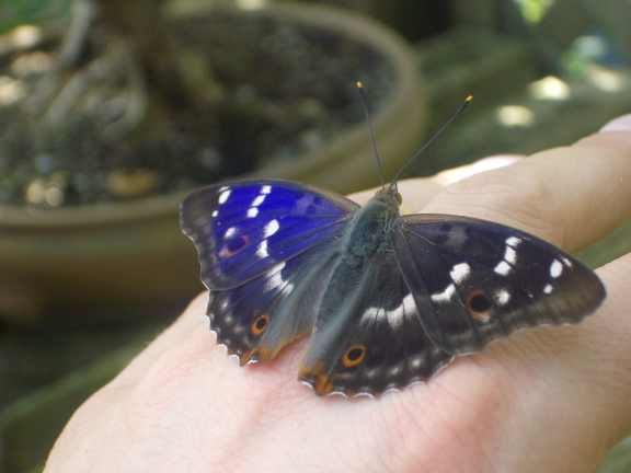 IMGP2620.JPG