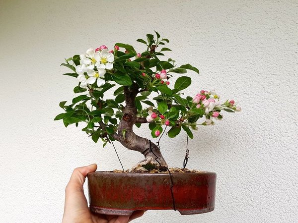 20180404_143623.jpg