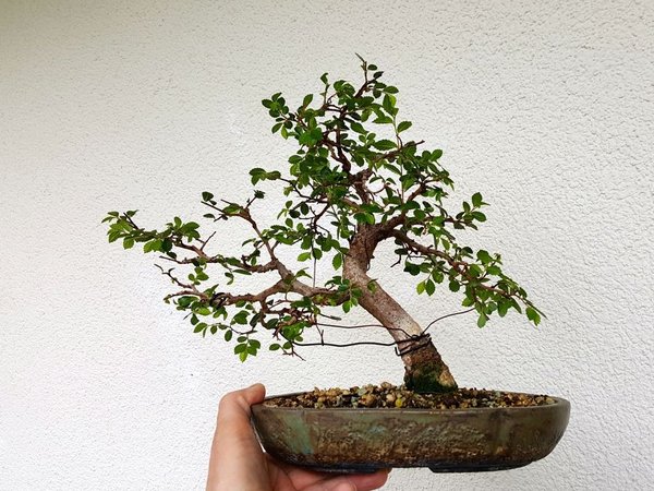 20180405_153251.jpg