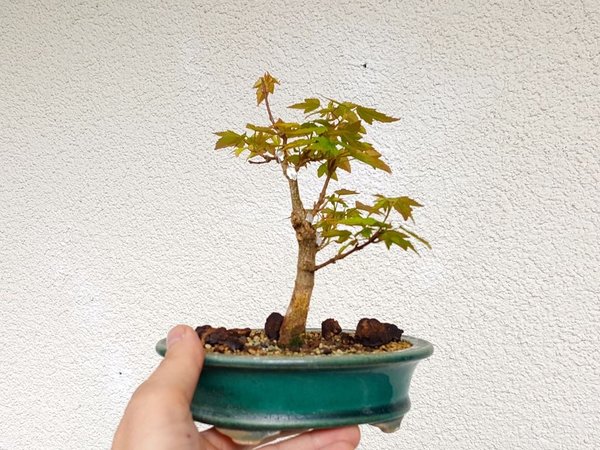 20180410_093601.jpg
