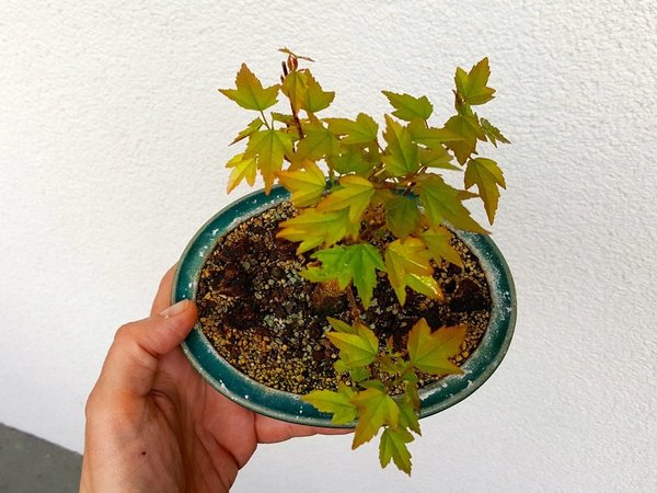 20180410_093608.jpg