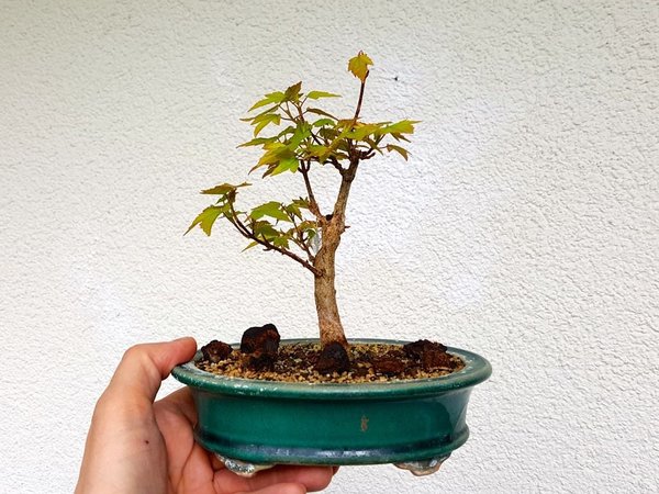20180410_093621.jpg