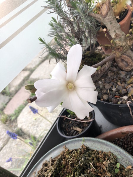 12. April 2018