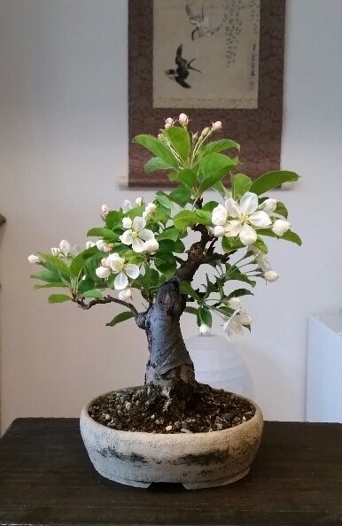 2018-04-15 17.32.25.jpg