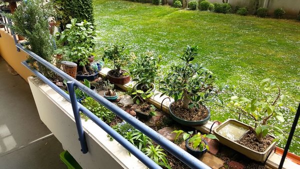 20180416_132935.jpg
