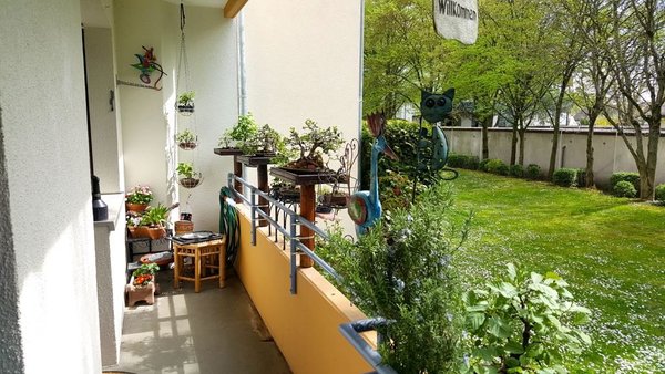 20180416_132956.jpg