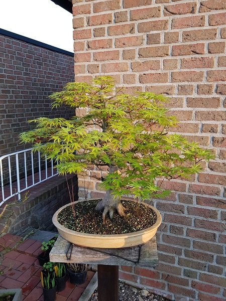 20180417_194843.jpg