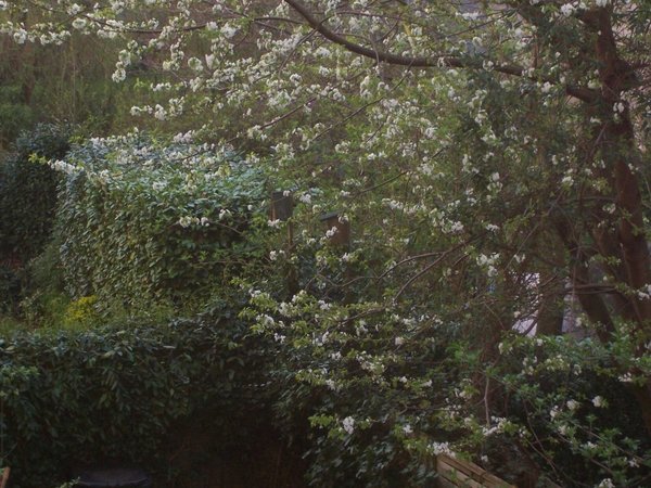 Frühling 2018.jpg