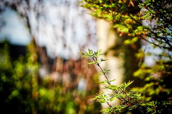 20180412-DSC07063_1_1Do-2.jpg