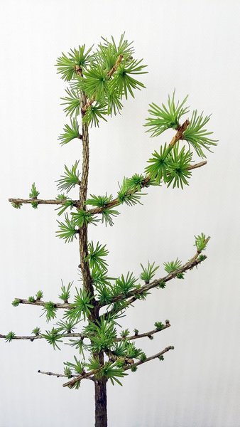 20180420_161028.jpg