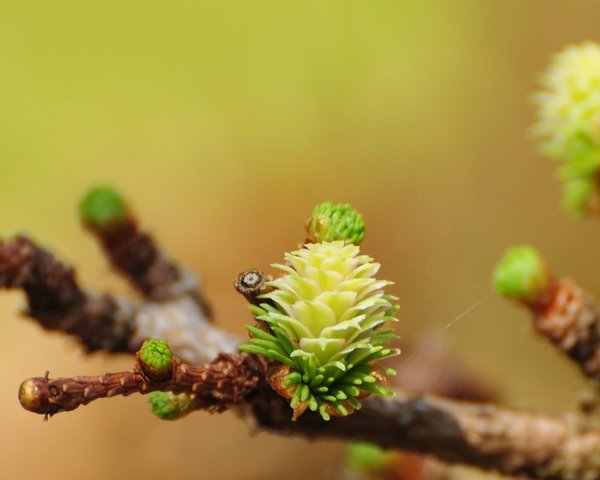 2018 (April)