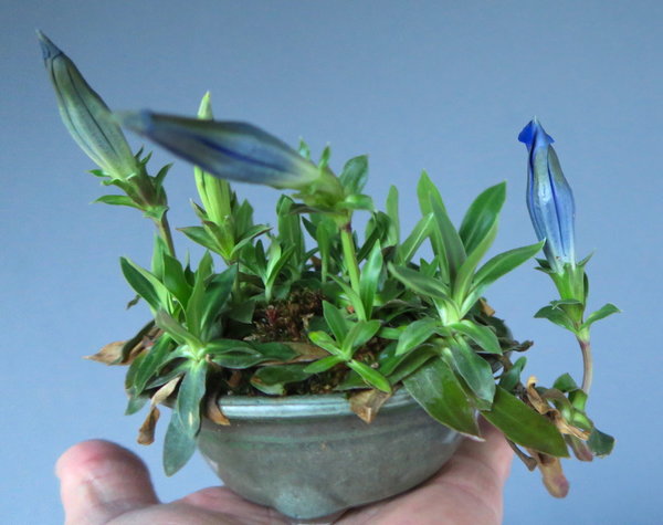 22. April
