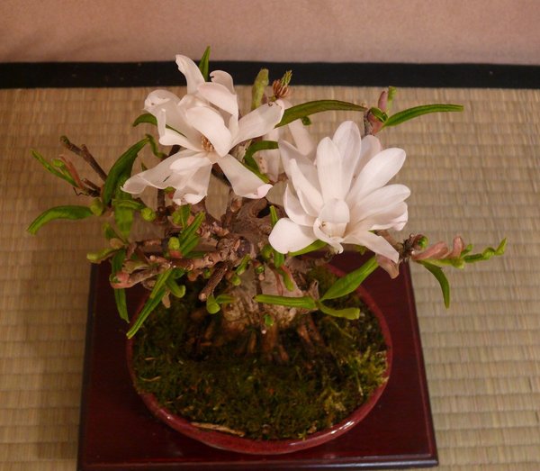 P1220238k.JPG