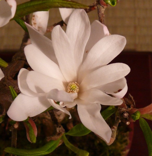 P1220240k.JPG