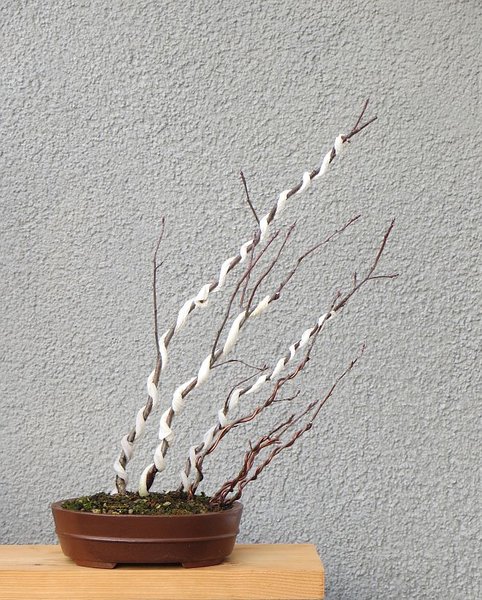 BFF-3_Amelanchier.jpg