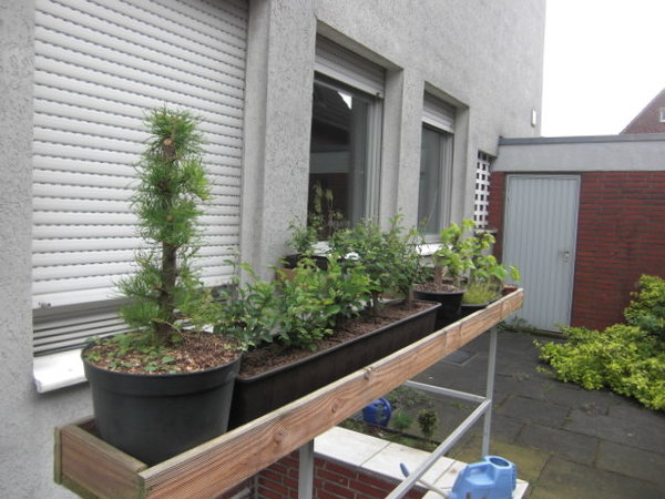 Gemeinschaftsgarten