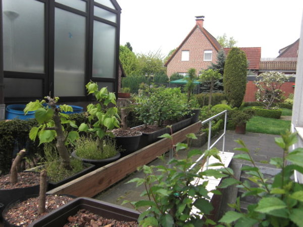 Gemeinschaftsgarten